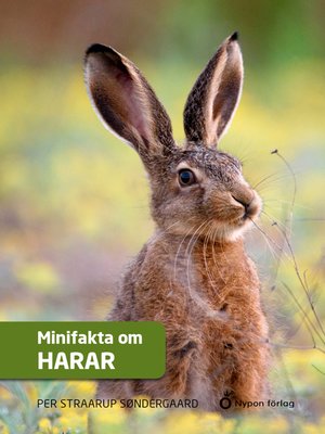 cover image of Straarup Minifakta om harar